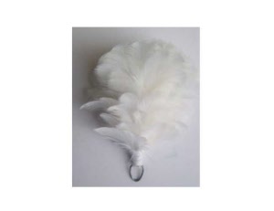 2nd-scots-white-hackleadv