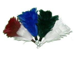 hackles-coloured