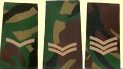Rank slides large image