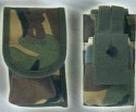 large image