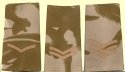 Rank slides
