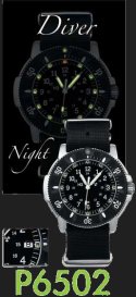 Divers watch