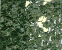 Camouflage nets